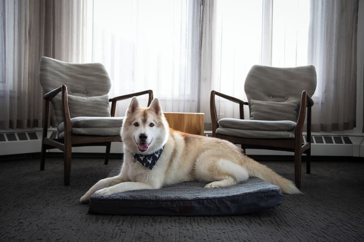 Elk + Avenue Hotel