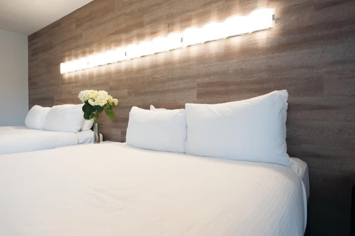 Elk + Avenue Hotel