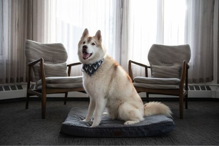 Elk + Avenue Hotel