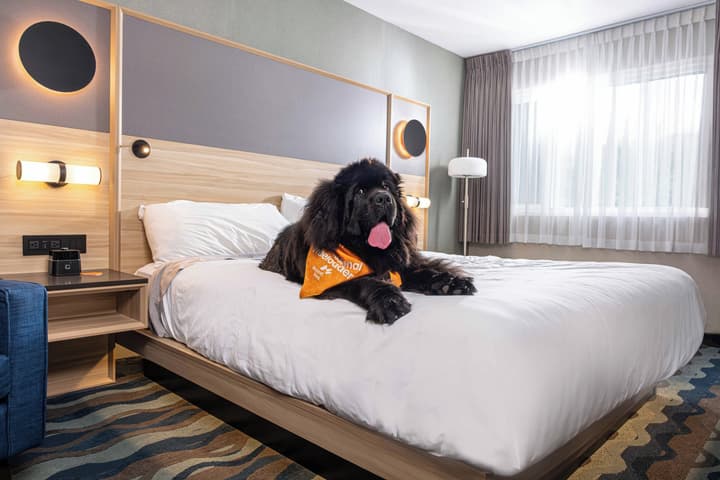 Accent Inns Kelowna