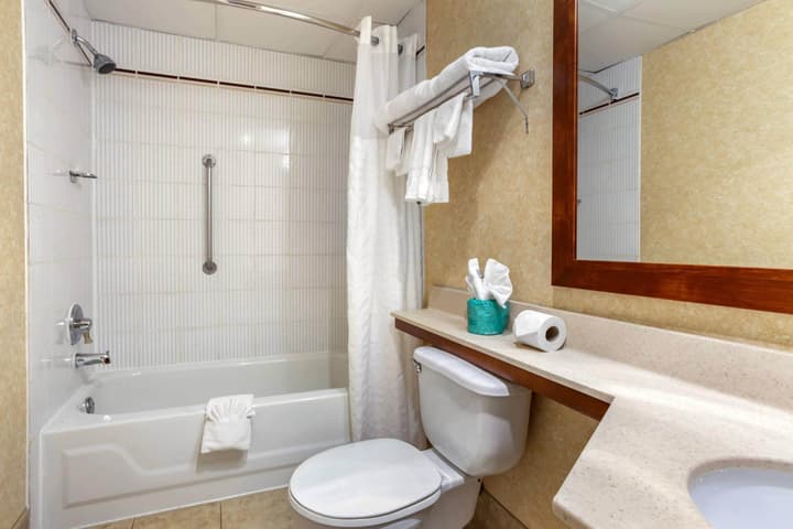 Comfort Suites Oakbrook Terrace - Chicago West