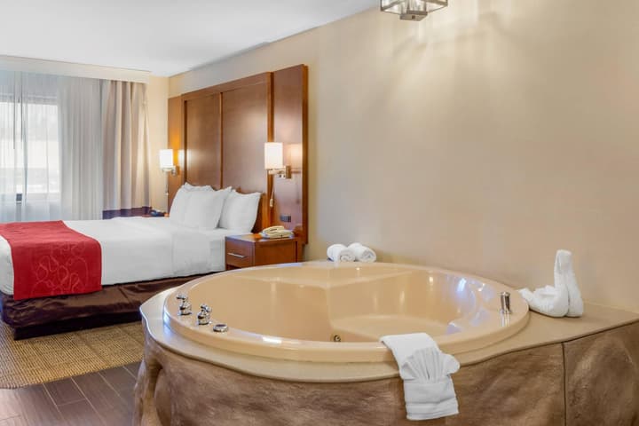 Comfort Suites Oakbrook Terrace - Chicago West