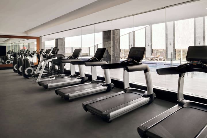 Radisson Blu Hotel and Convention Centre, Riyadh Minhal