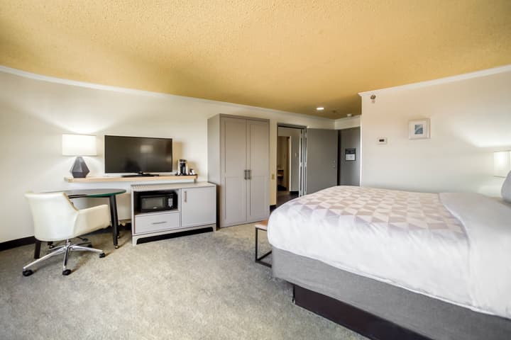 Holiday Inn Mobile-Dwtn/Hist. District by IHG