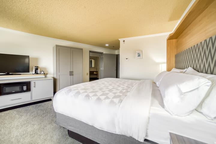 Holiday Inn Mobile-Dwtn/Hist. District by IHG