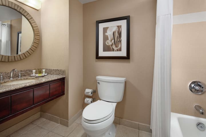 Hilton Orlando Lake Buena Vista - Disney Springs® Area