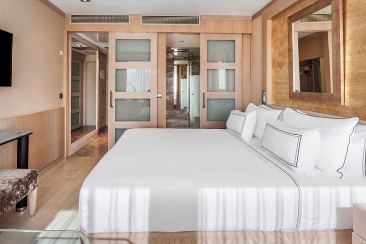 Melia Madrid Princesa