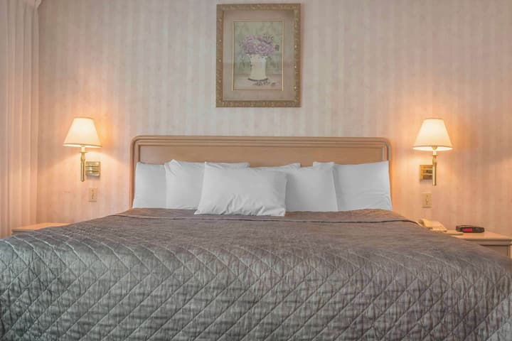 Rodeway Inn Fallsview