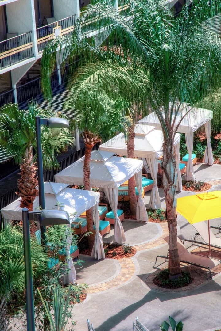 Sheraton Orlando Lake Buena Vista Resort - NEWLY RENOVATED!