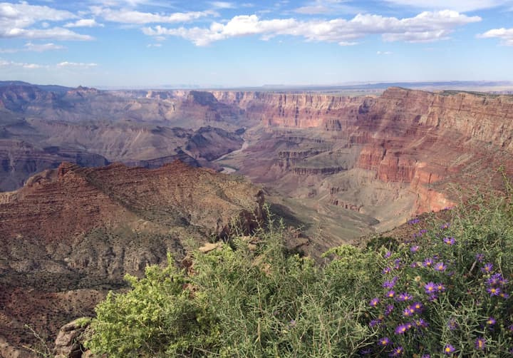 Grand Canyon Plaza Hotel-South Rim