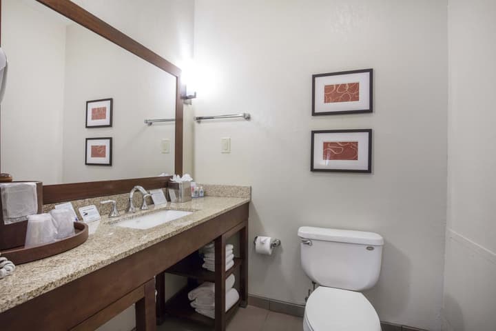 Comfort Inn Memphis Downtown