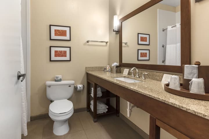 Comfort Inn Memphis Downtown