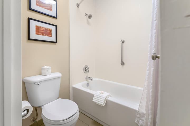 Comfort Inn Memphis Downtown