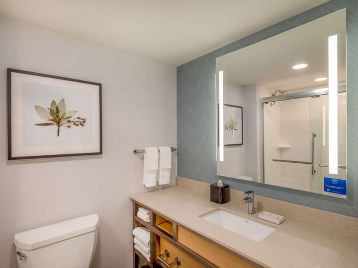 Hilton Garden Inn Toledo Downtown