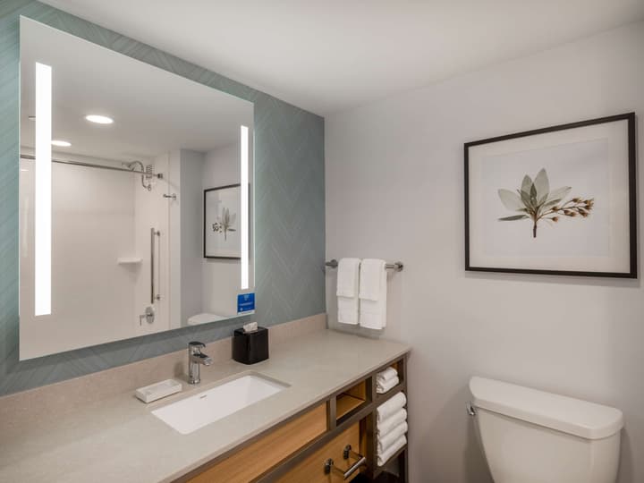 Hilton Garden Inn Toledo Downtown