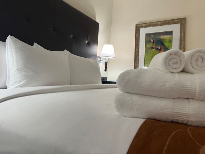 Comfort Suites Paradise Island