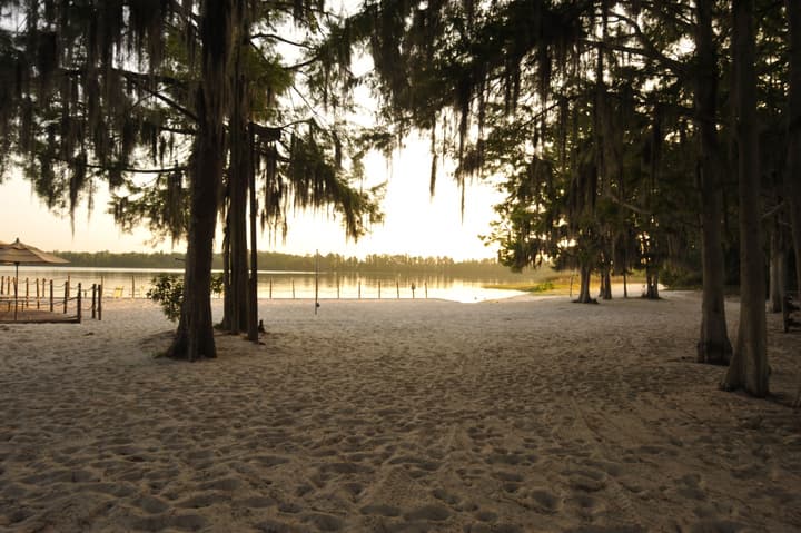 The Cabins at Disney's Fort Wilderness Resort