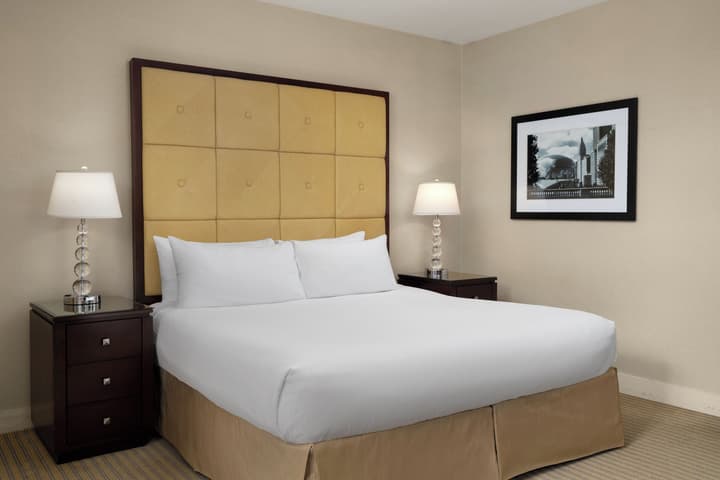 Millennium Hotel Knickerbocker Chicago