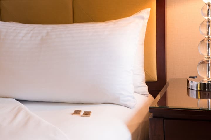 Millennium Hotel Knickerbocker Chicago