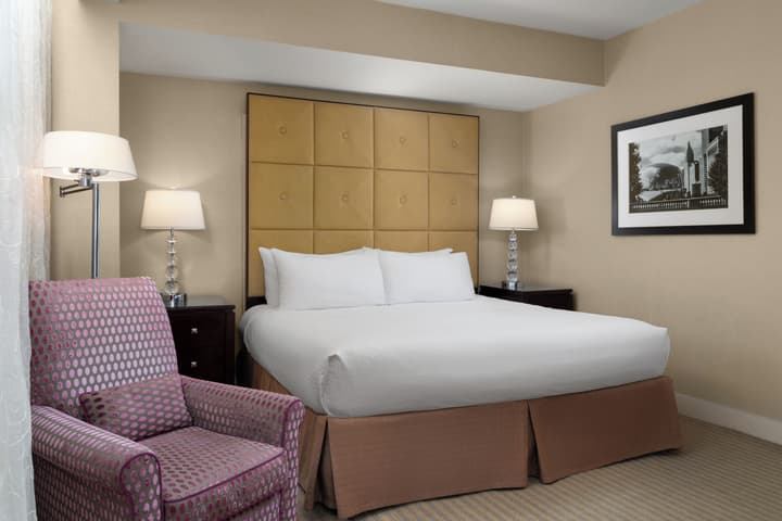 Millennium Hotel Knickerbocker Chicago