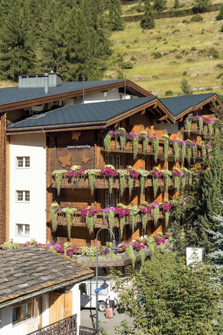 Hotel Butterfly
