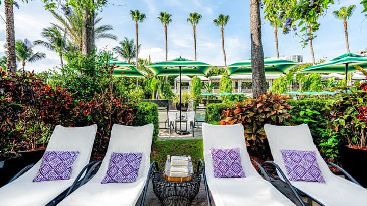 Kimpton Surfcomber Hotel by IHG