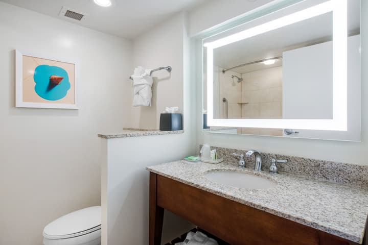 Holiday Inn Orlando - Disney Springs® Area by IHG