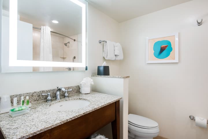Holiday Inn Orlando - Disney Springs® Area by IHG