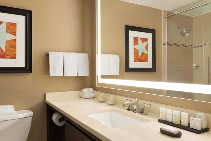 Embassy Suites by Hilton Austin Downtown South Congress