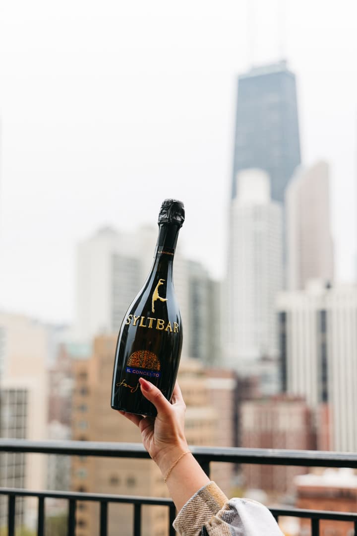 The Chicago Hotel Collection Ambassador Gold Coast