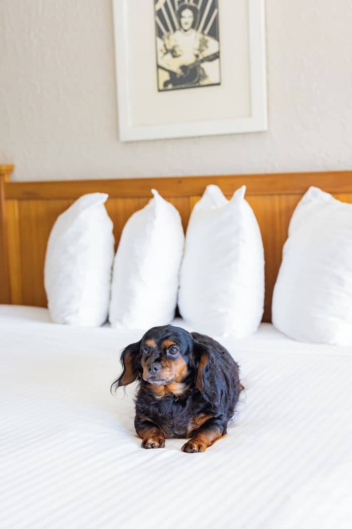 Millennium Hotel Maxwell House Nashville