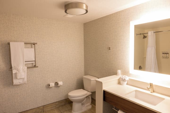 Holiday Inn Express Salt Lake City Downtown by IHG