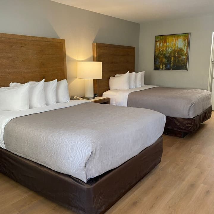 Quality Inn & Suites By the Parks
