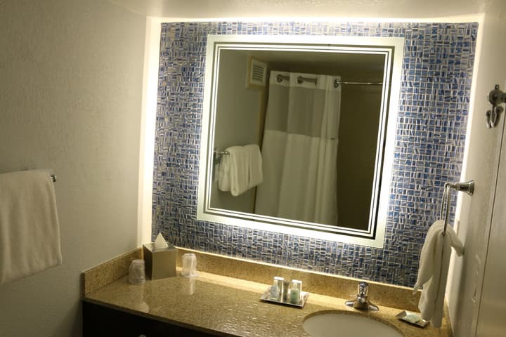 Wyndham Lake Buena Vista – Disney Springs® Area
