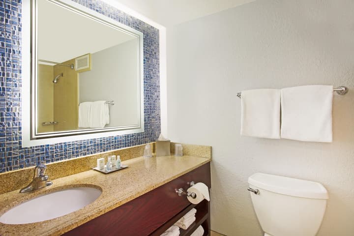 Wyndham Lake Buena Vista – Disney Springs® Area