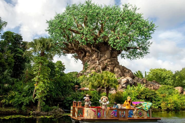Wyndham Lake Buena Vista – Disney Springs® Area
