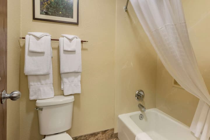 Comfort Inn Flagstaff South I-17