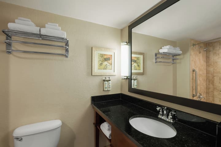 Holiday Inn Resort Orlando - Lake Buena Vista by IHG