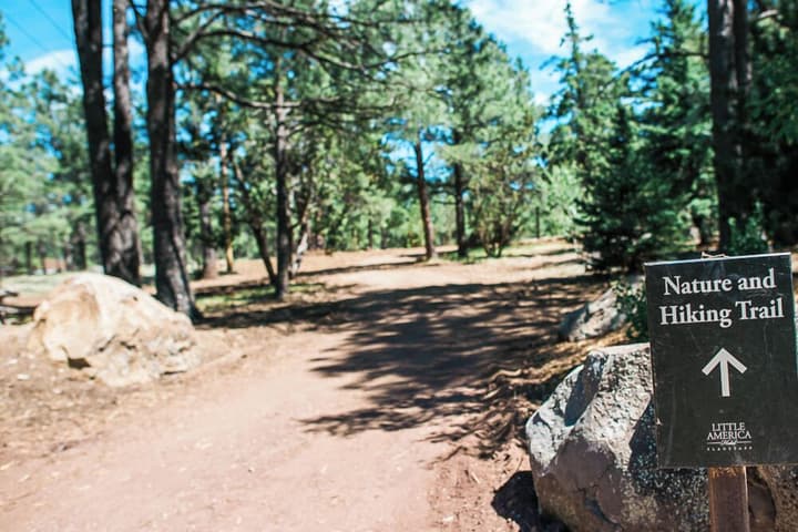 Little America Flagstaff