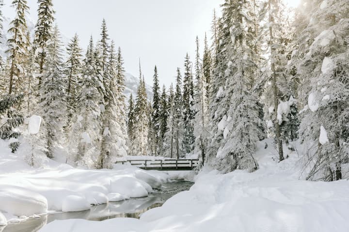 Emerald Lake Lodge