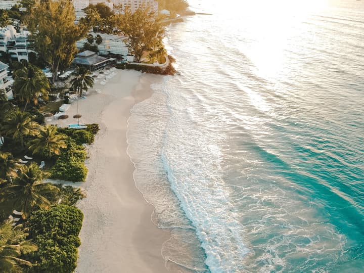 Bougainvillea Barbados
