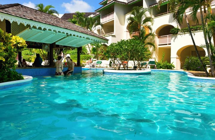 Bougainvillea Barbados