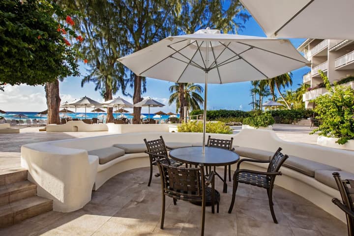 Bougainvillea Barbados