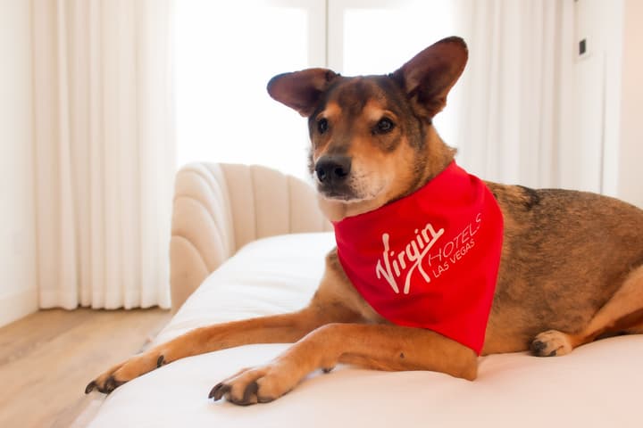 Virgin Hotel Las Vegas, Curio Collection by Hilton