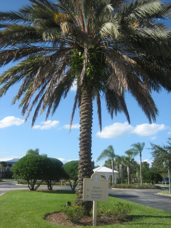 Monumental Hotel Orlando