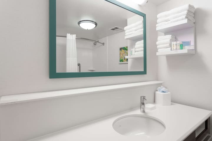 Hampton Inn Orlando International Drive/Convention Center