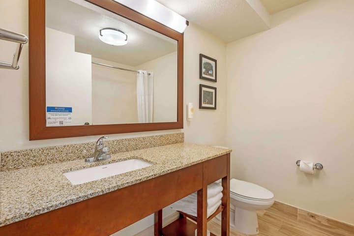 Comfort Suites Downtown