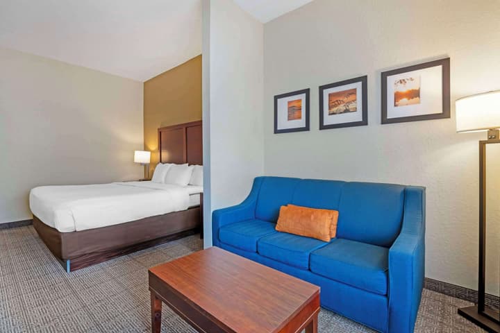 Comfort Suites Downtown