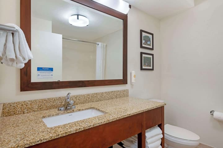 Comfort Suites Downtown