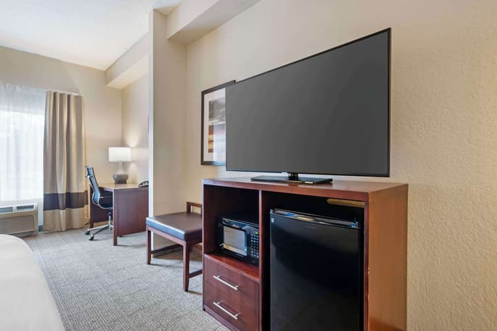 Comfort Suites Downtown